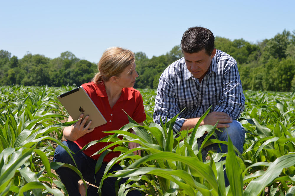 What is required to get an Agronomist job in the UK?