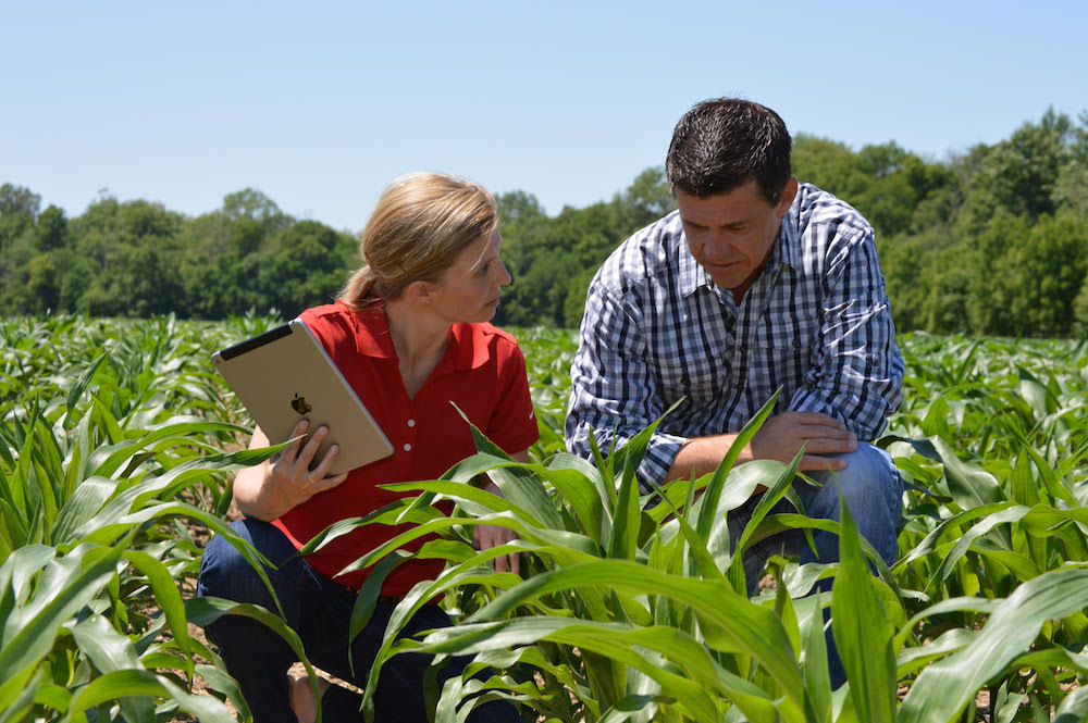 What is required to get an Agronomist job in the UK? Kate Moxon