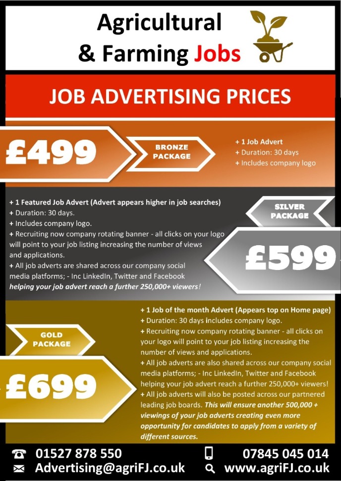 Advertising Prices