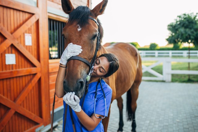 Urgently Required: Veterinary and Animal Health Professionals