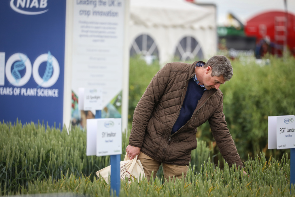 Cereals 2021 returns to the Lincolnshire fields