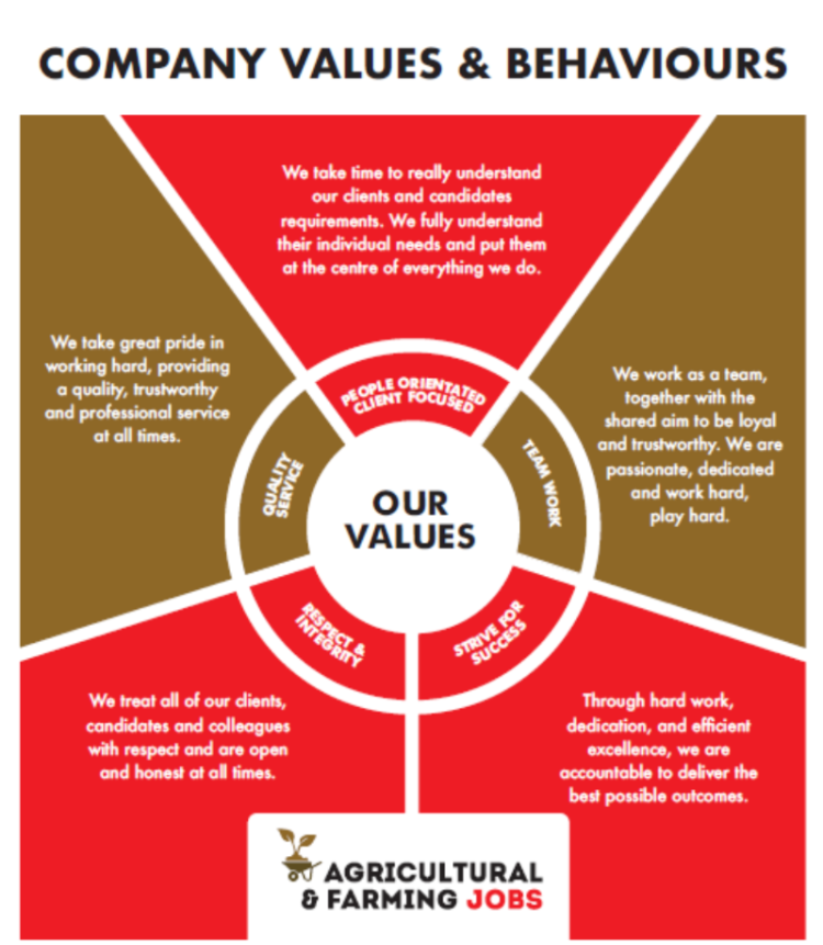 Company Values and Behaviours