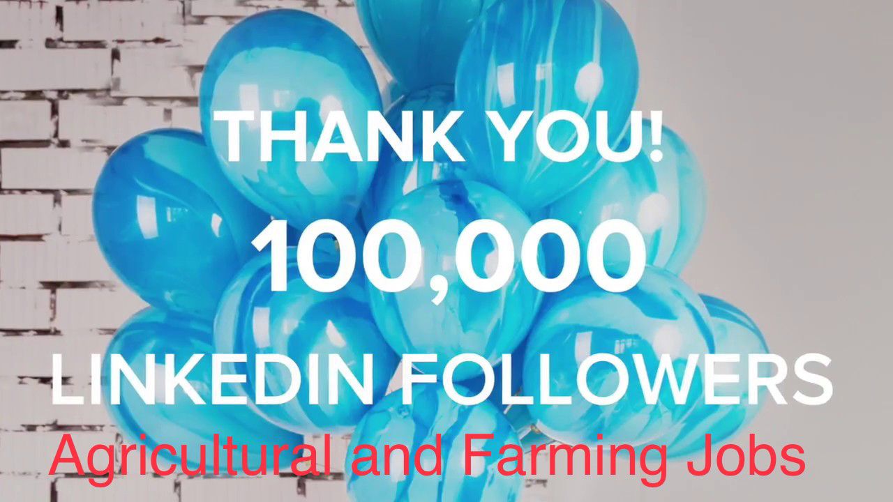 We would like to say a massive thank you to our 100,000 LinkedIn followers!