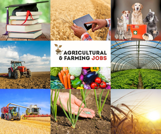 Agricultural Recruitment in 2026: A Sector Adapting, Not Abandoning Tradition