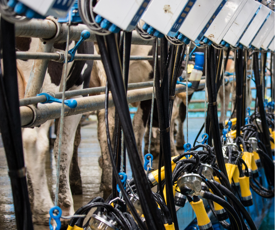 I would like to thank AgriFJ