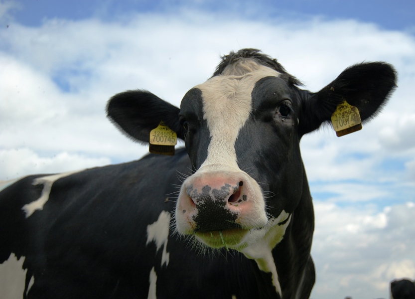 Thank you for everything