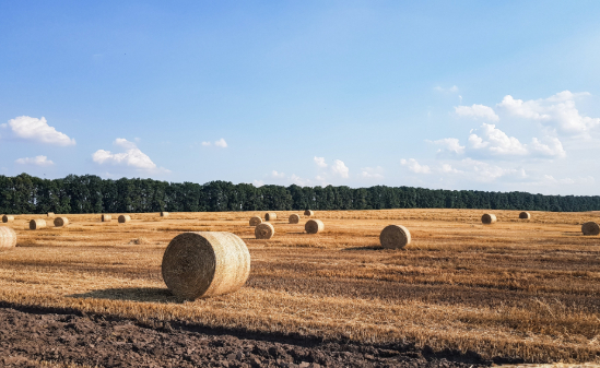 My CV looks really good - so professional