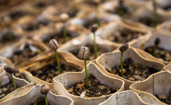 I appreciate your CV writing professionalism