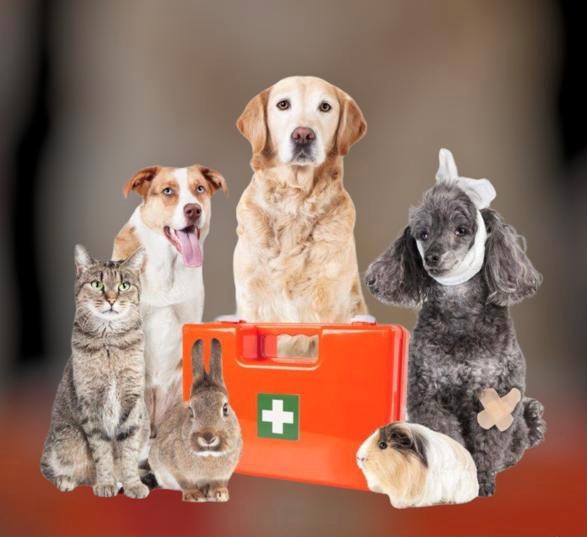 Our Specialist Pet, Vet, and Animal Health Division.