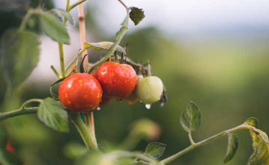 We have offered your candidate