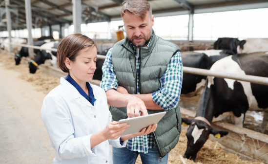 You have positively transformed by CV!