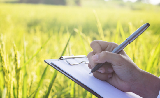 Fantastic CV Writing Service, thanks Louise