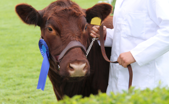 Very happy with your advertising service