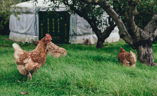 Role has been filled! Thank you