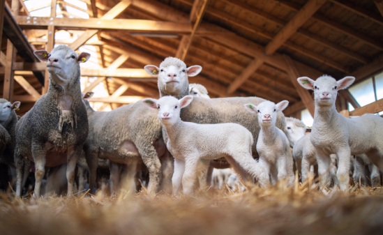 Thank you for all the suitable applicants