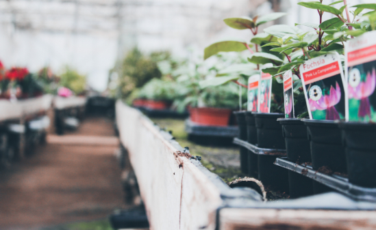 You helped me secure the job I wanted, thank you