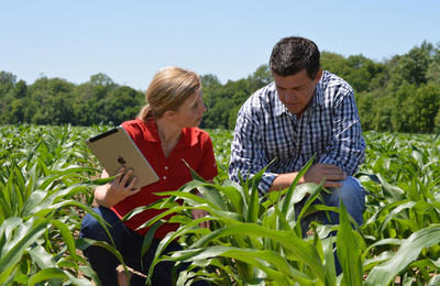 What is required to get an Agronomist job in the UK?
