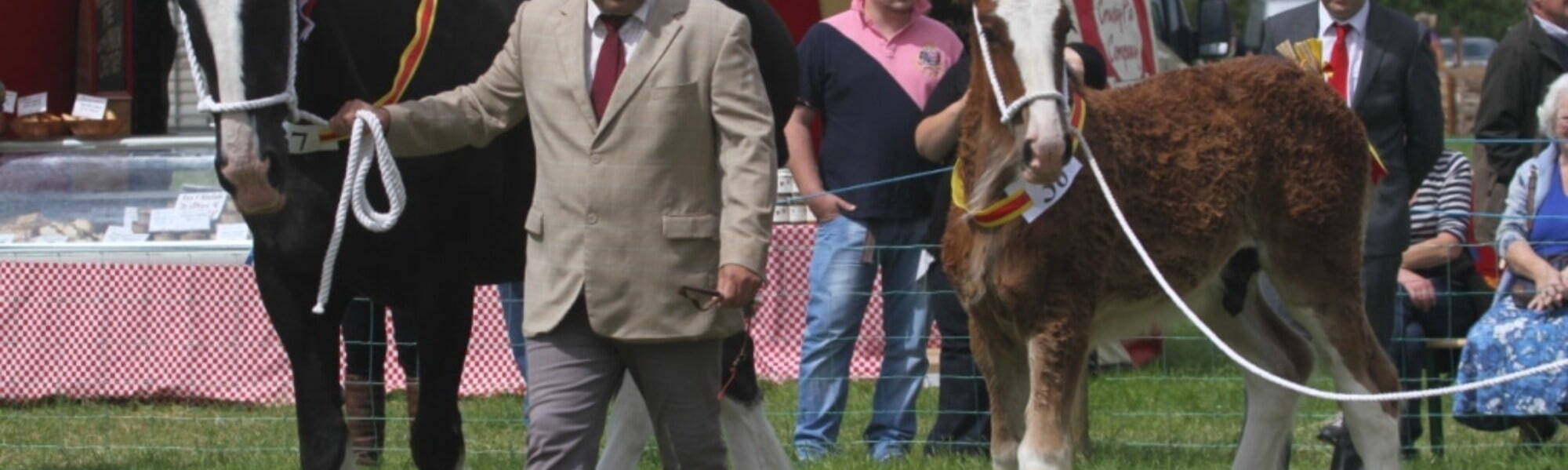 Agriculture Show