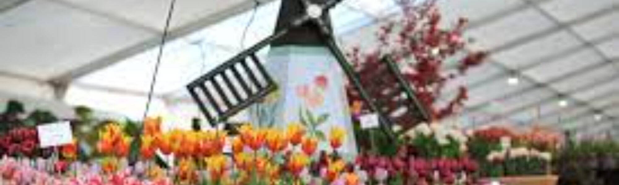 RHS Malvern Spring Festival