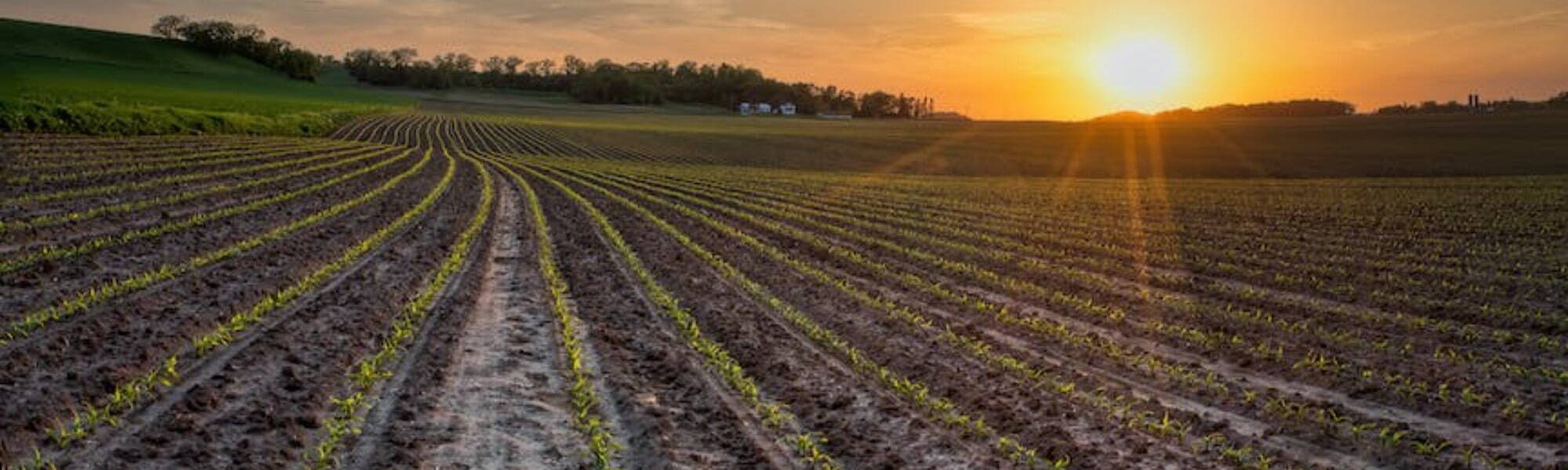 Agrochemicals, Fertilisers and Seeds Recruitment