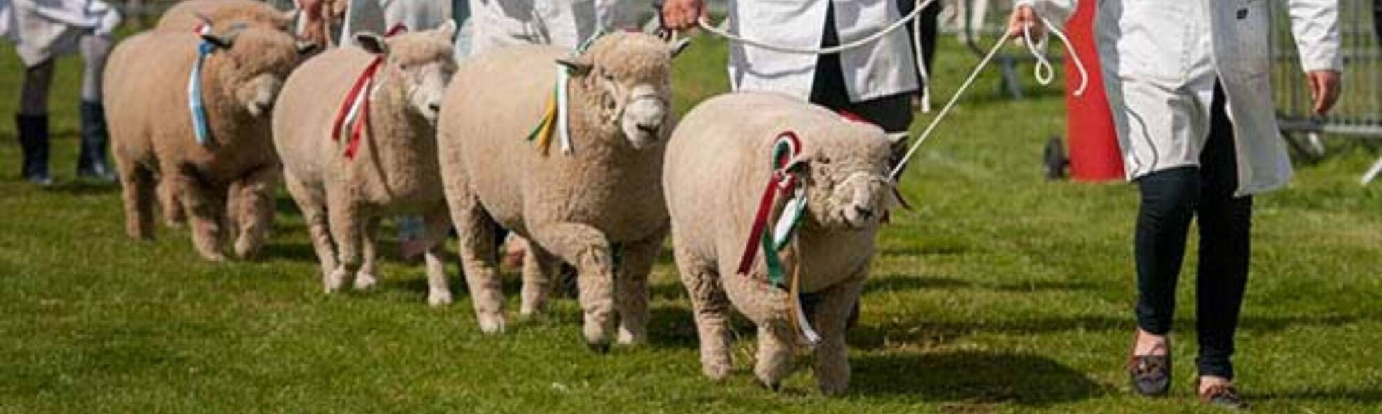 Burwarton Show 
