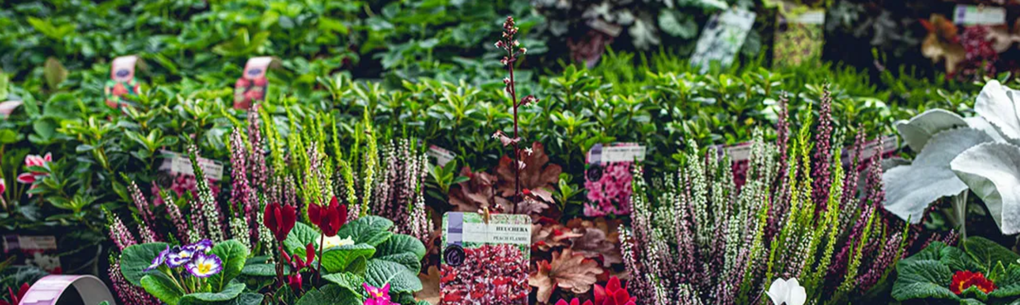 Glee Birmingham