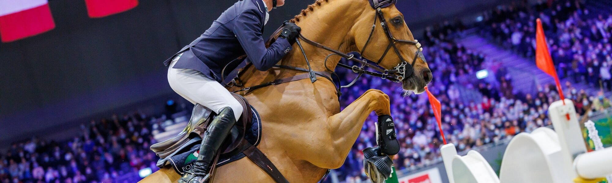 Equestrian Showjumping