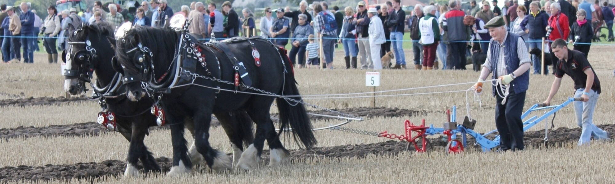 British National Ploughing Championships 
