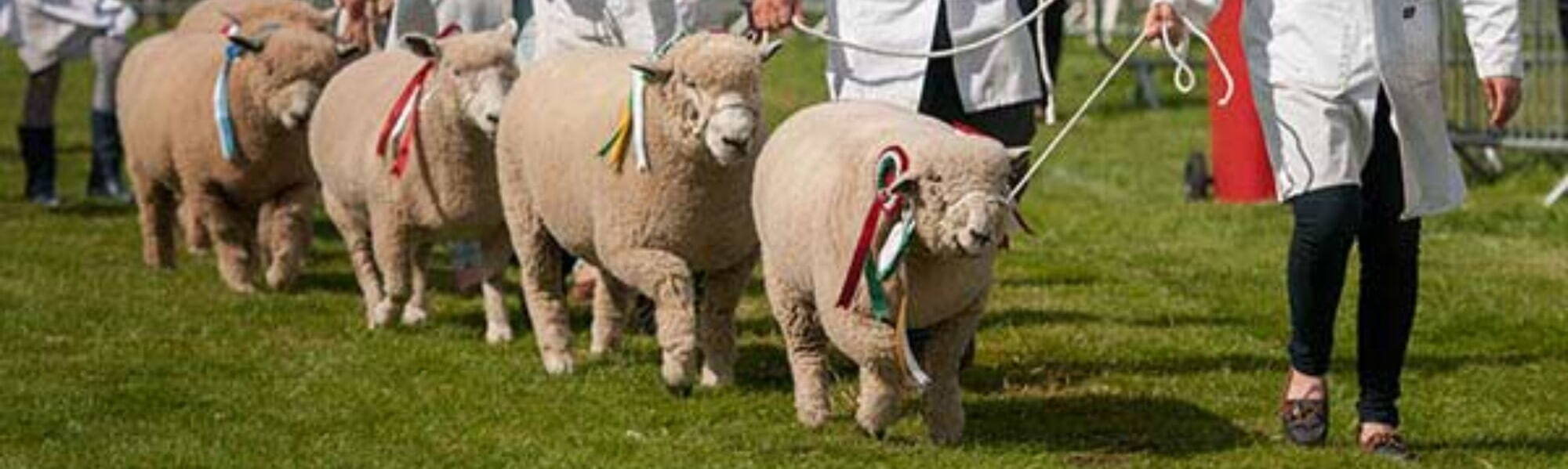 Burwarton Show 