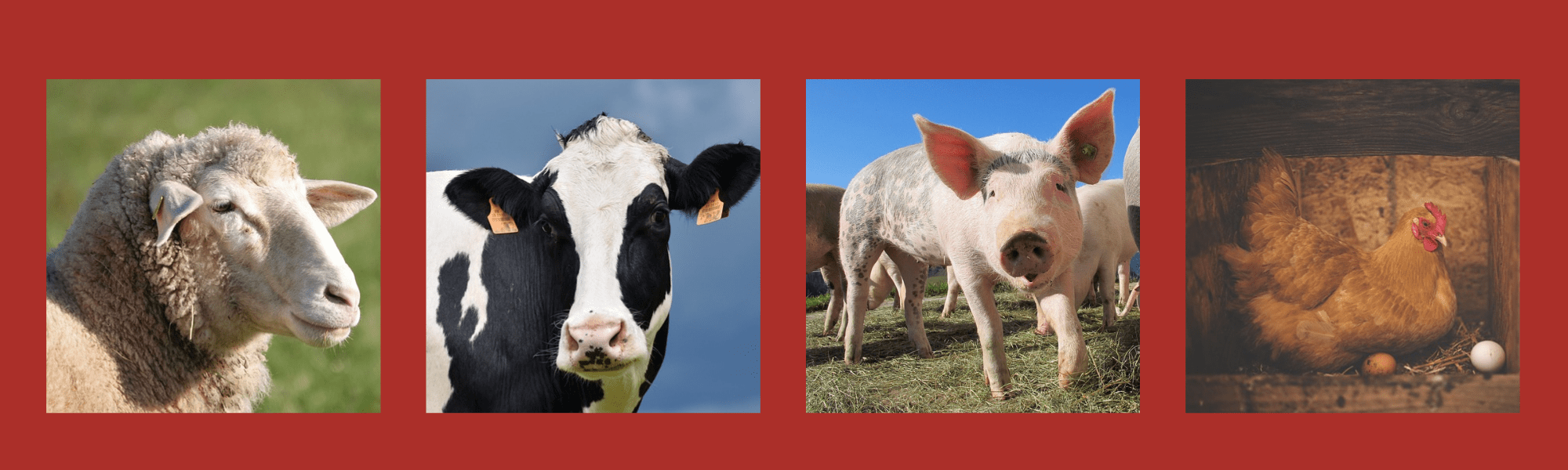 Farming Recruitment