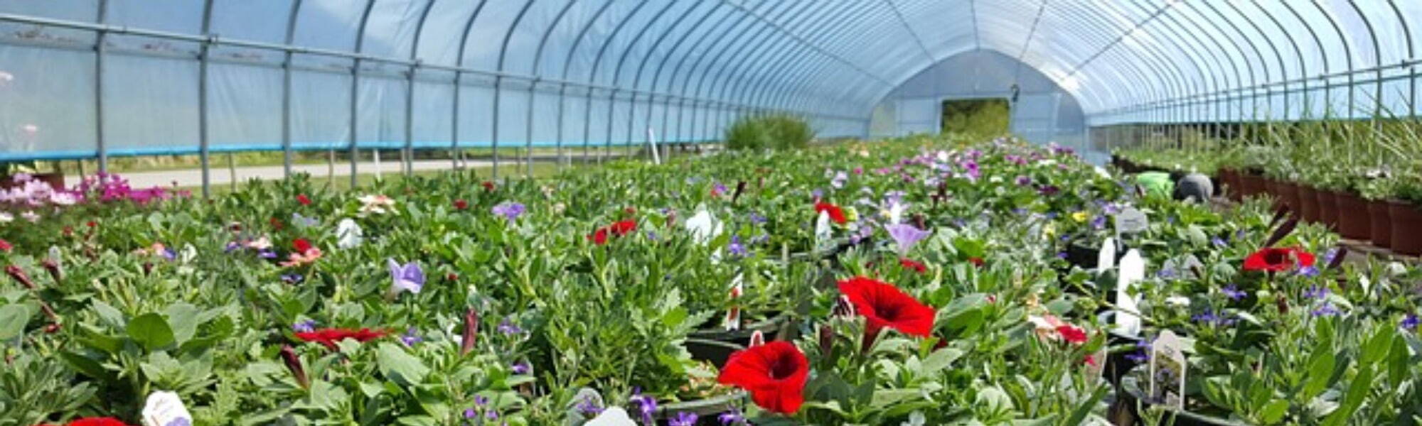 Horticulture Recruitment