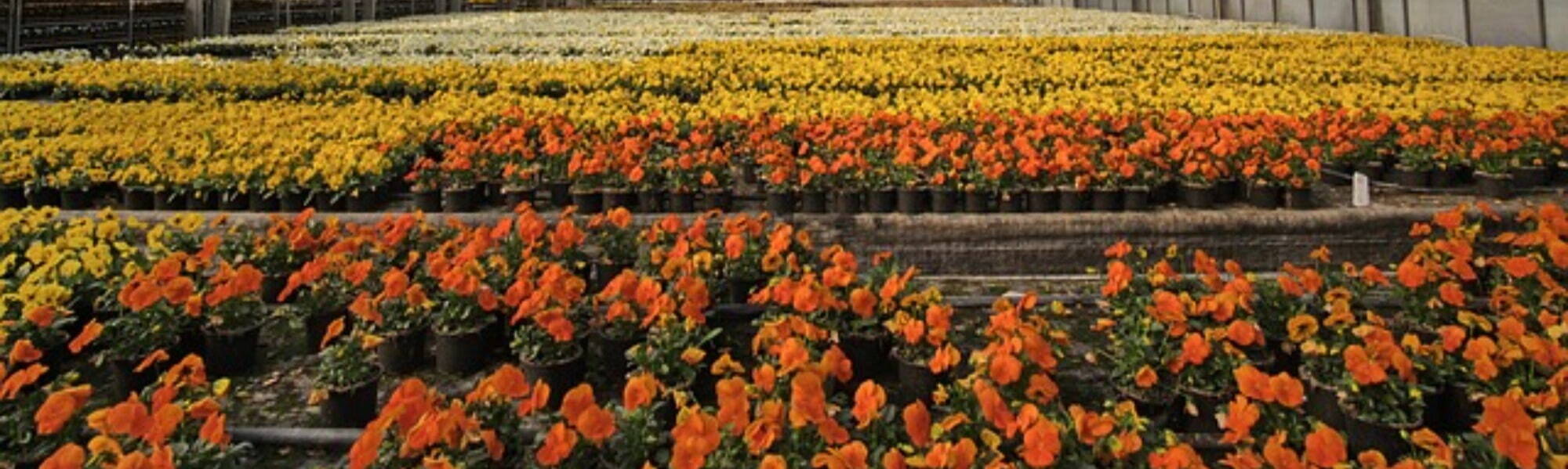 Horticulture Recruitment! 