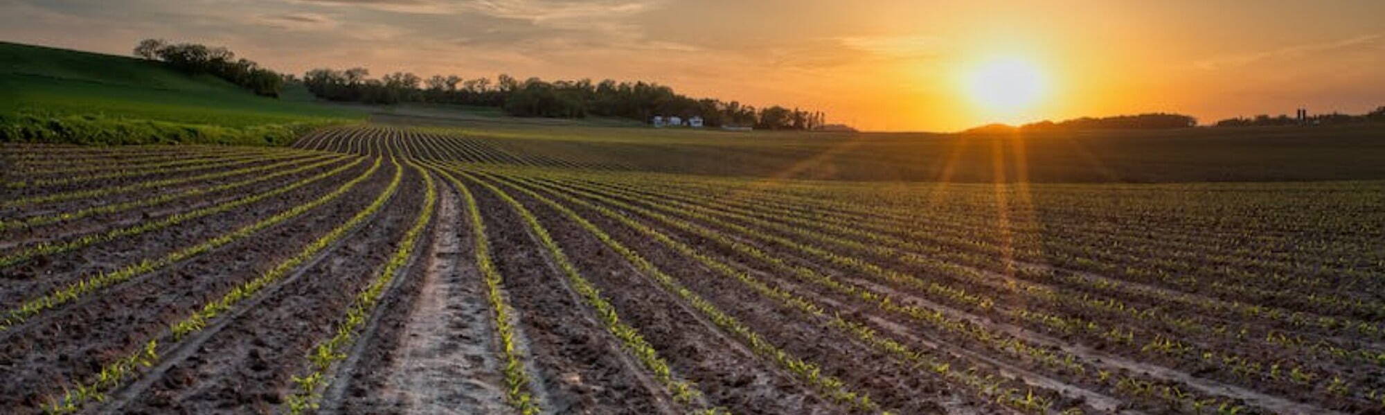 Agricultural Recruitment 