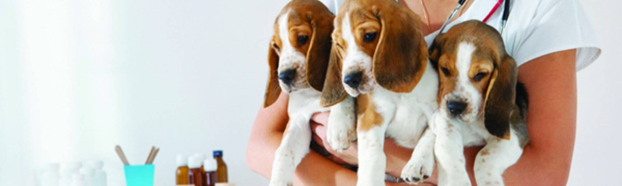 Banner Default Image