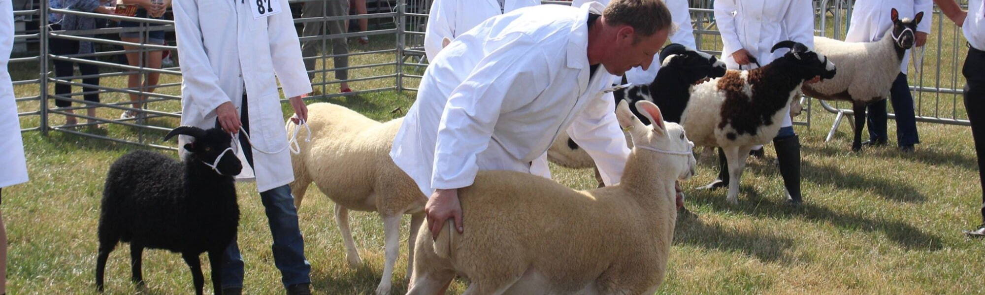 The Nantwich Show Animal Competition