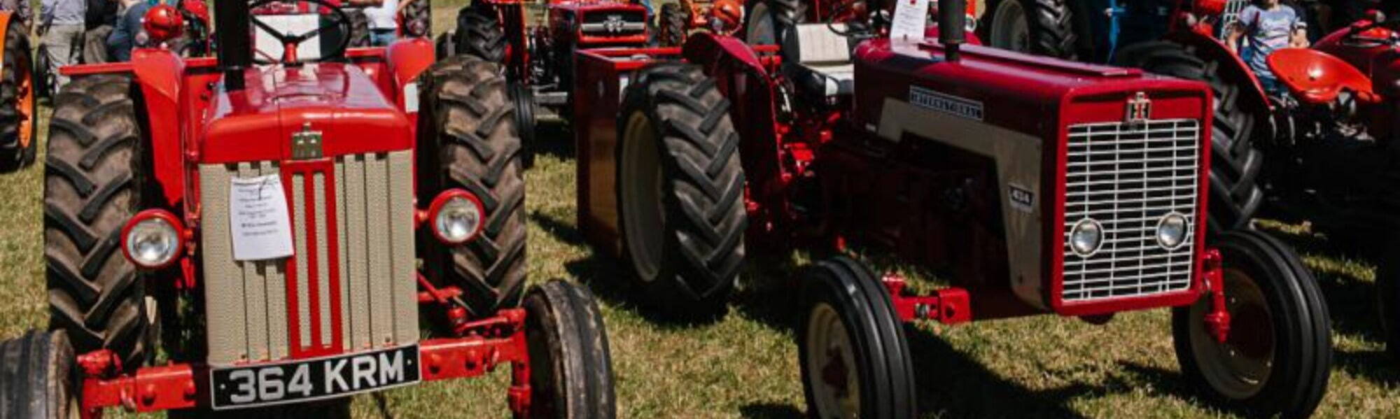 The Cumberland Show