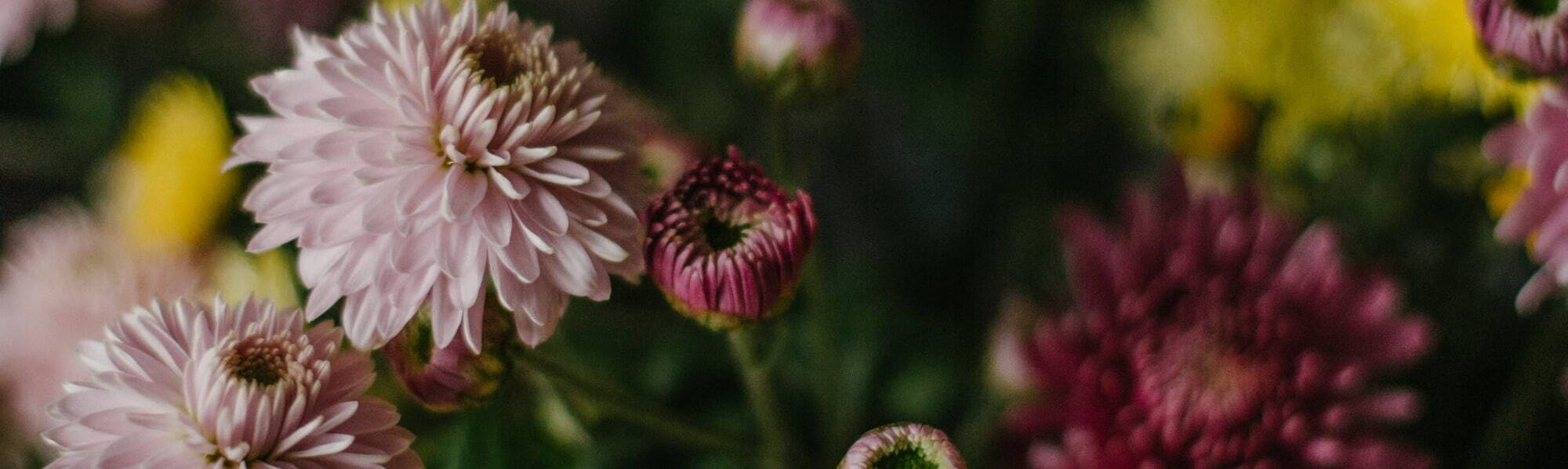 horticultural jobs