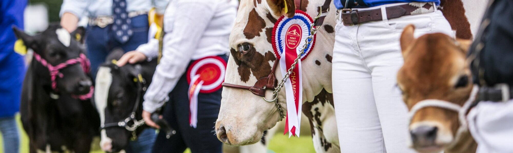 Kent County Show