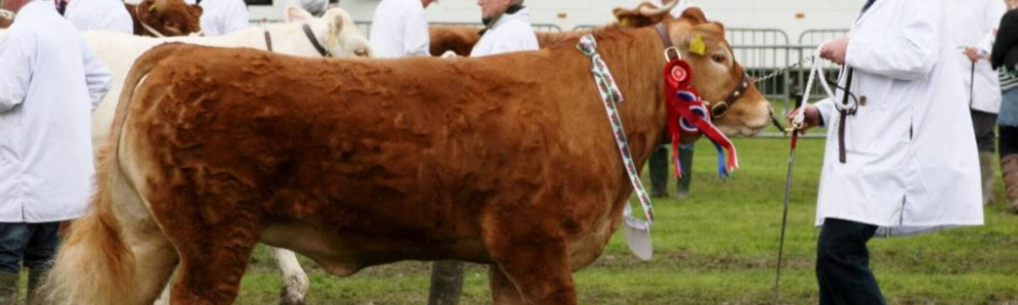Livestock Show