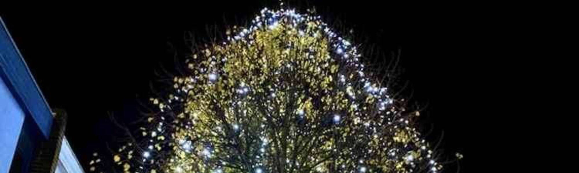 Ashby christmas fair