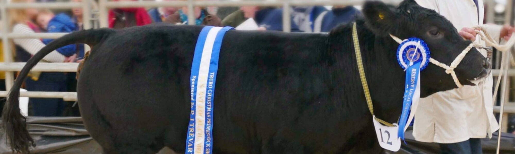 Truro Primestock Show