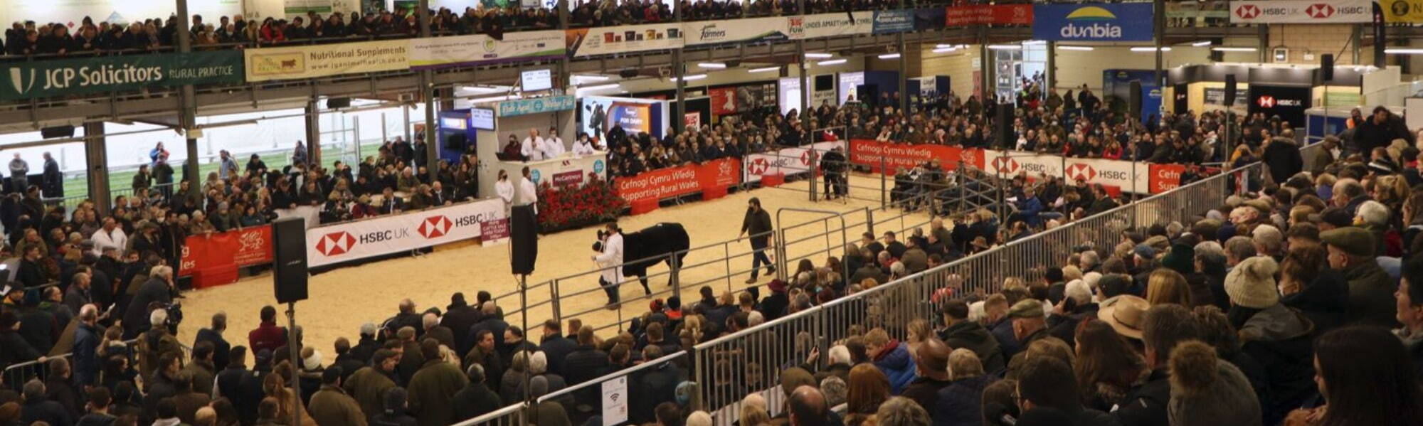 Royal Welsh Winter Fair