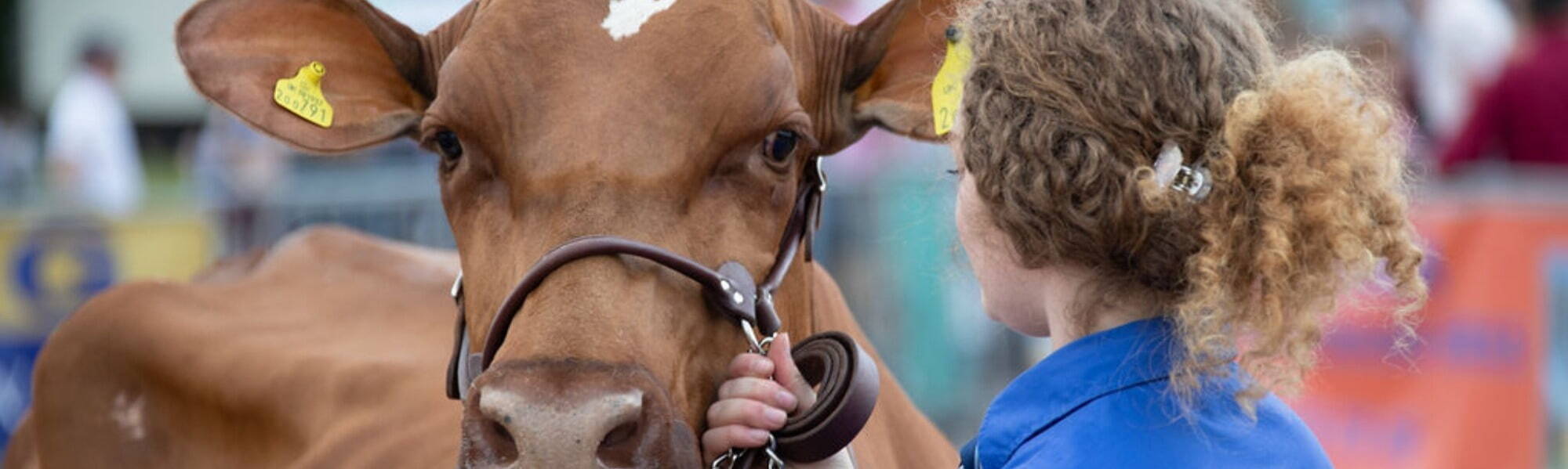 Royal Bath and West Show