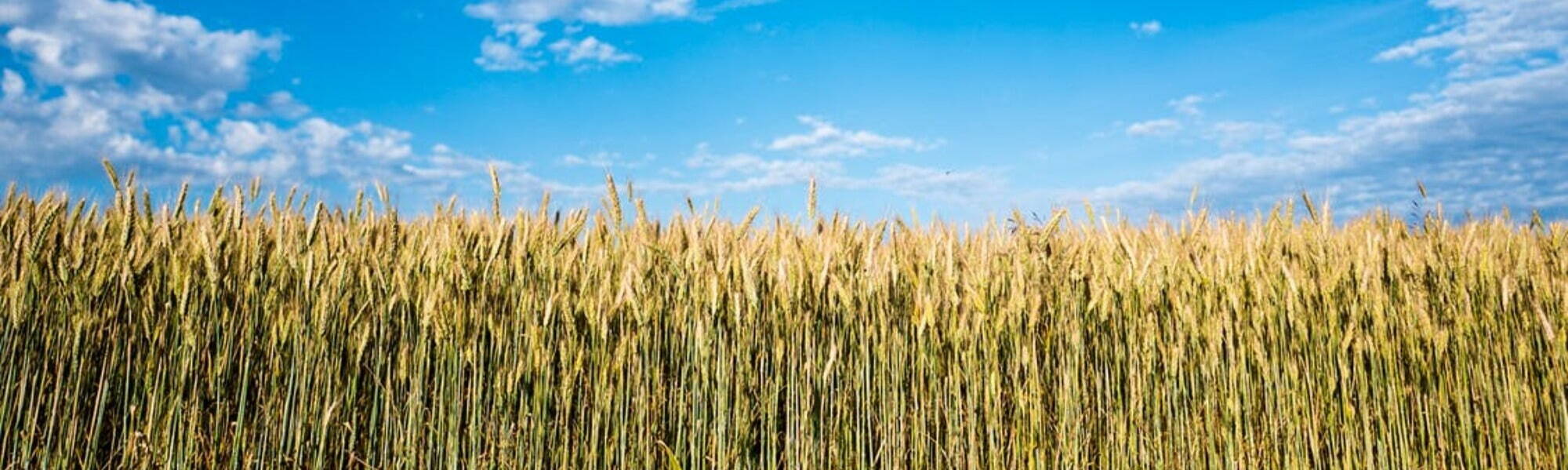 Northern Farming Conference