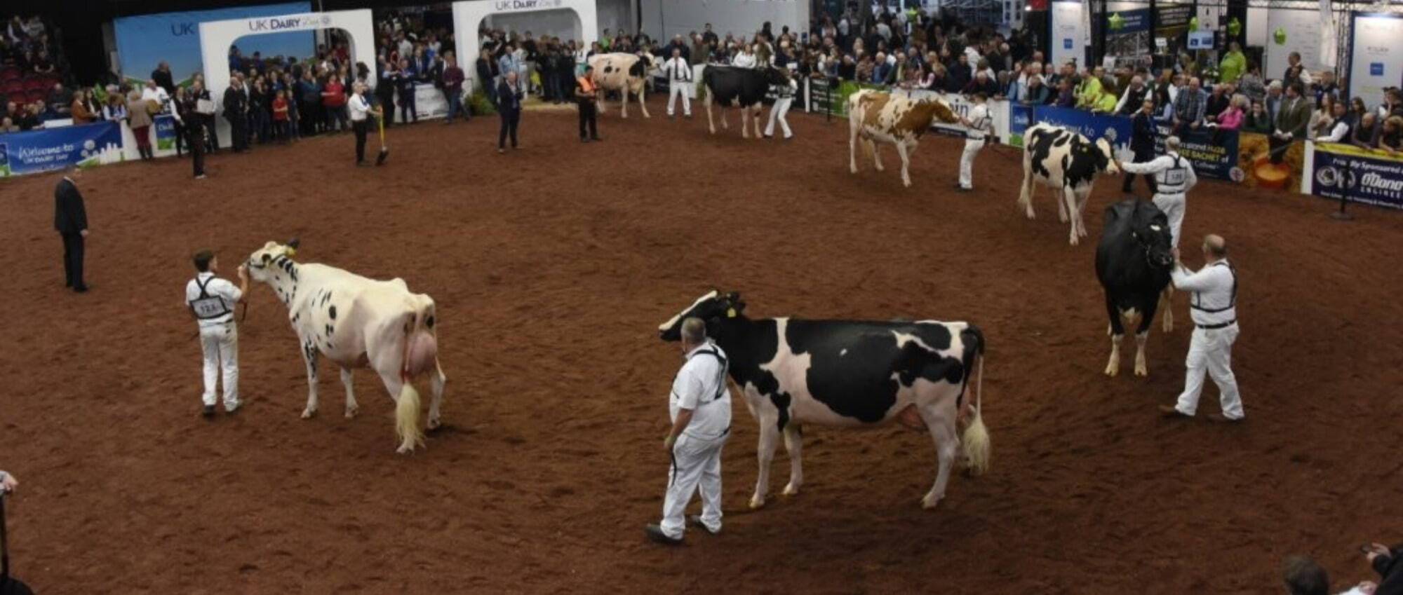 UK Dairy Day 2025!