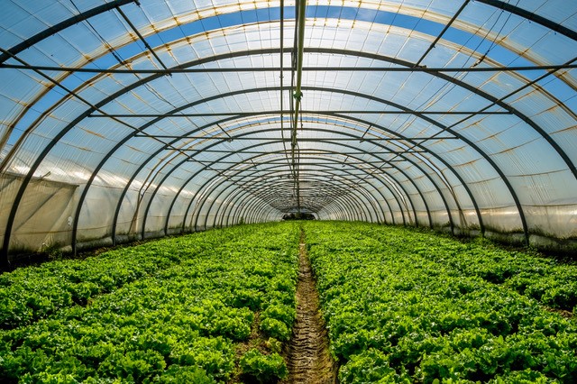 Horticulture