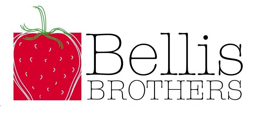 Bellis Brothers Ltd