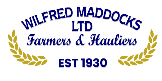 client-logo