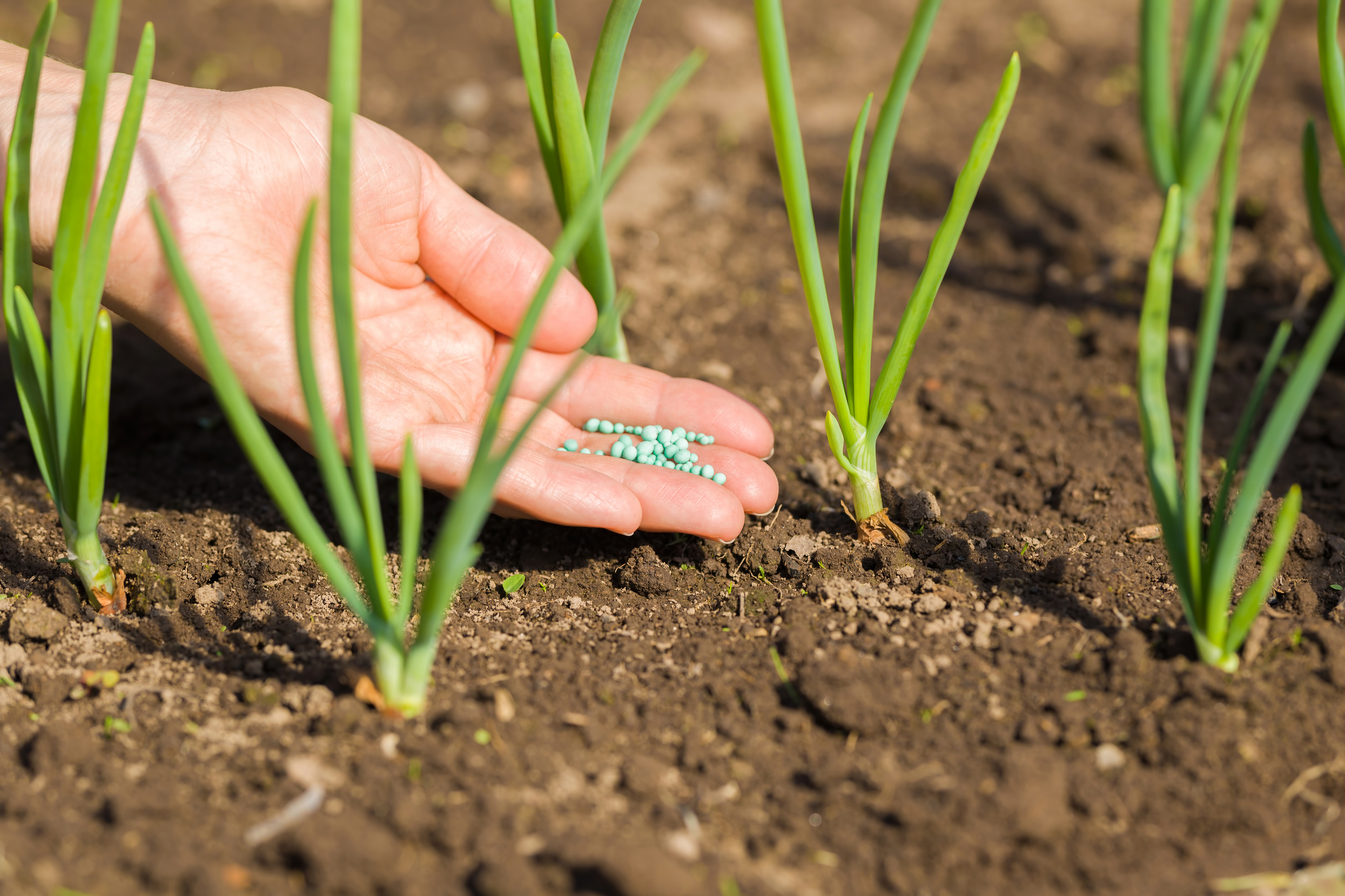 Agro-Chemicals, Fertilisers & Seeds